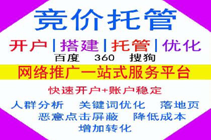 SEM代理的优化策略及成功案例