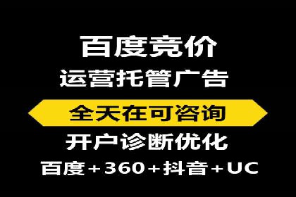 百度品牌专区推广的成效与案例